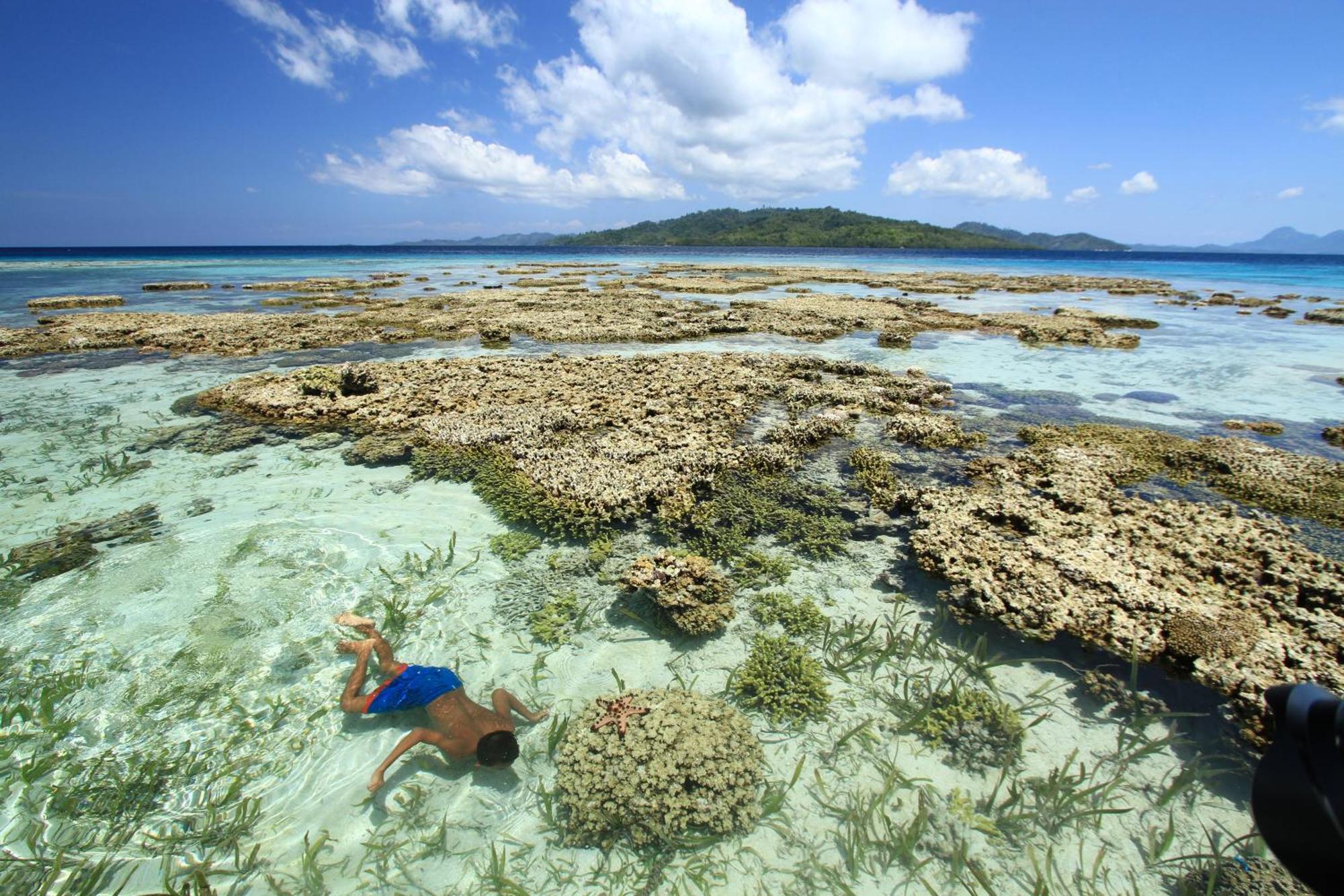 Bolilanga Island Resort - Togean Island Angkayo 外观 照片